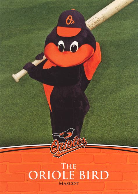 Baltimore black bird mascot